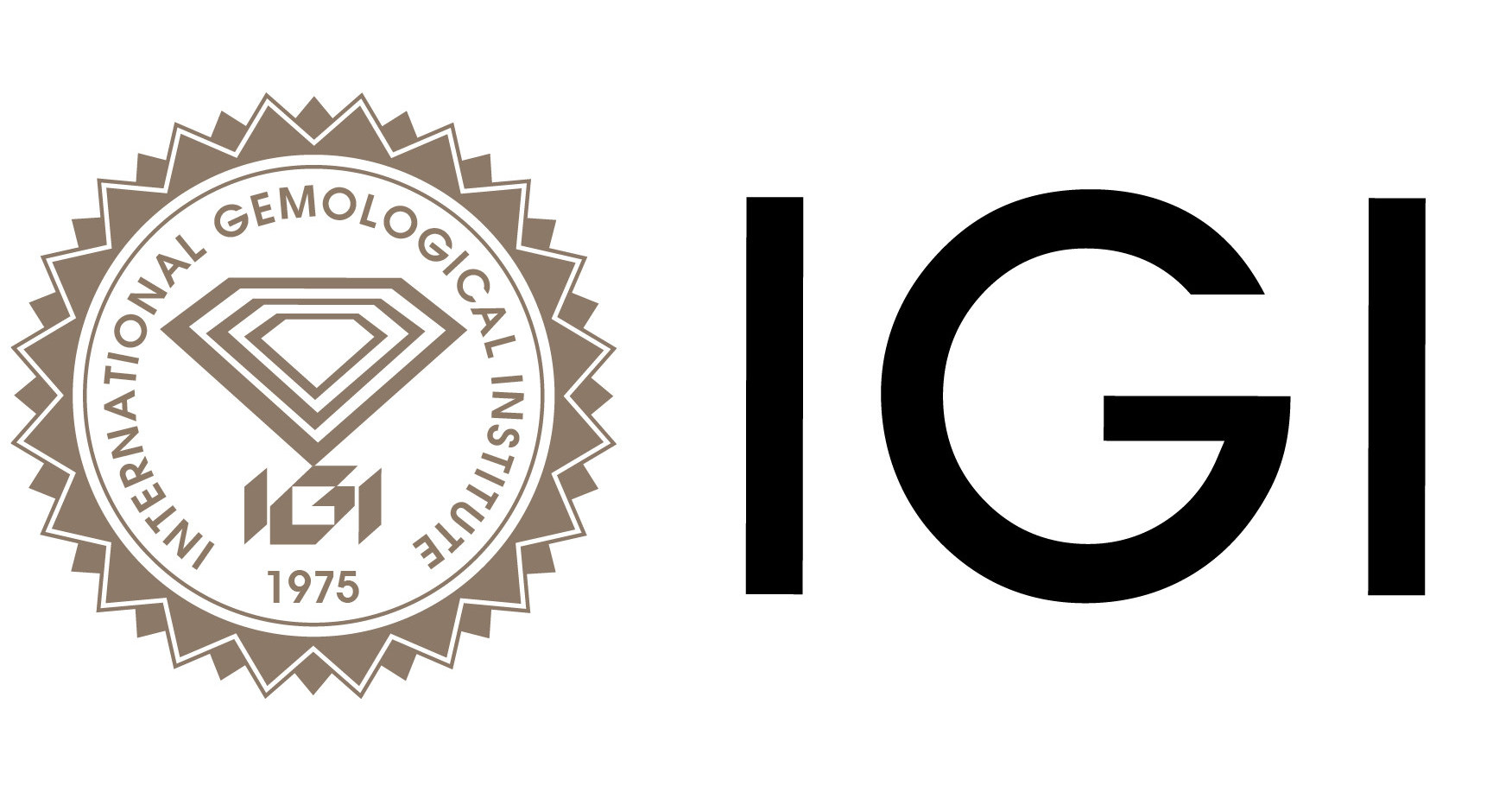 igi logo logo